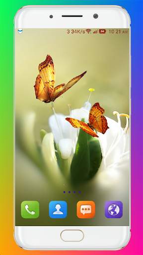 Butterfly Wallpaper HD screenshot 15