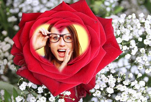 Rose Flower Photo Frames 2016 screenshot 8