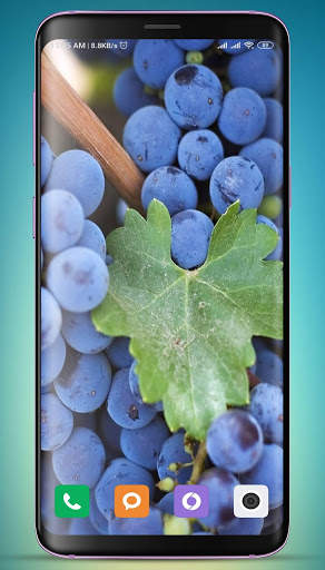 Grapes Wallpaper HD screenshot 10