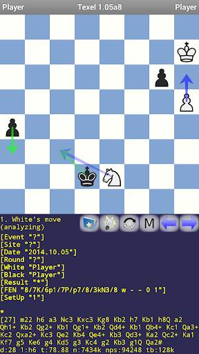 Texel Chess Engine screenshot 1