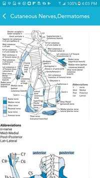Neurology Essentials screenshot 3