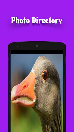 FREE PHOTOS screenshot 6