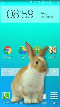 Lelucon Imut Kelinci di Ponsel screenshot 1
