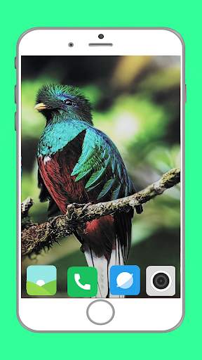 Birds Full HD Wallpaper स्क्रीनशॉट 5