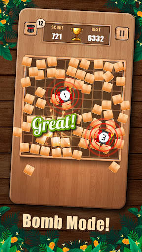 Wooden 100 Block Puzzle screenshot 6