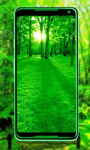 Green Nature New HD wallpaper: 4k Background image screenshot 4