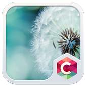 Dandelion CLauncher Theme 4.7.0