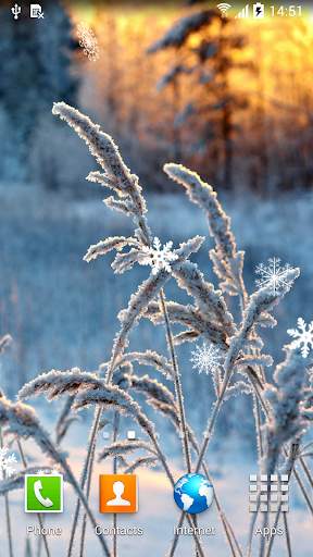 Winter Flowers Live Wallpaper screenshot 4