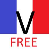 French Conjugation Tests FREE 7.0