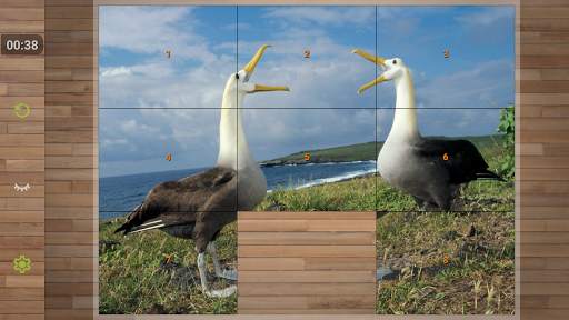 Bird Puzzle Games screenshot 4