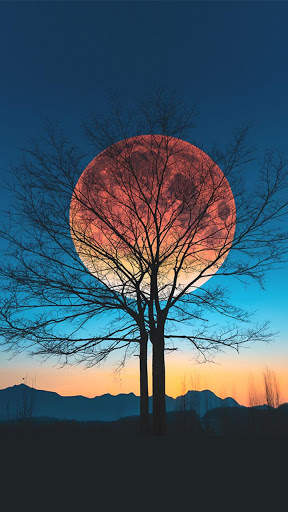 Moon HD Wallpapers screenshot 2