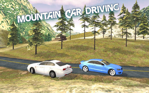 Advance Car Driving: Car Games screenshot 2