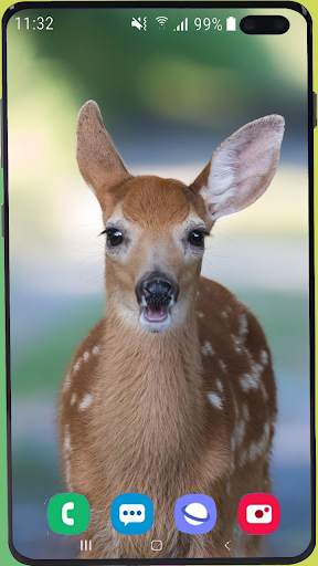 Deer Wallpaper HD screenshot 5