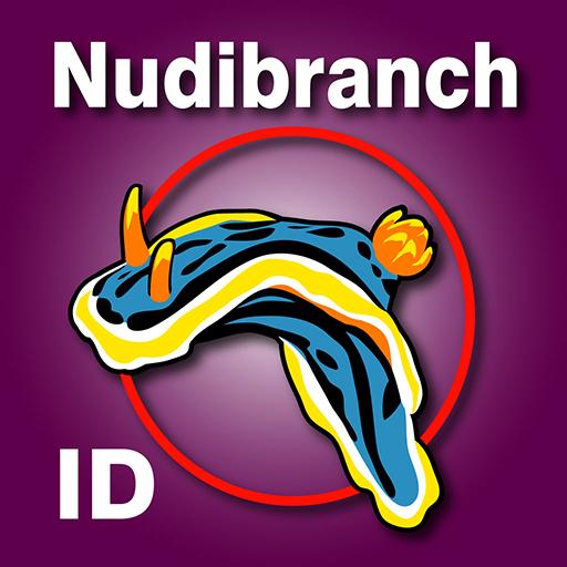 Nudibranch ID East Atlantic &amp; Mediterranean Sea icon