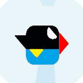 Crazy Bird 0.9
