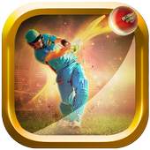Cricket Multiplayer 2017 1.1