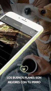 Dog Vivant - Planes con perros screenshot 4