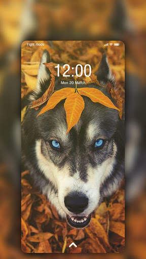 Husky Wallpaper screenshot 8