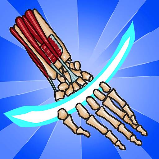 Anatomy Ninja Upper Limb 1.4.2