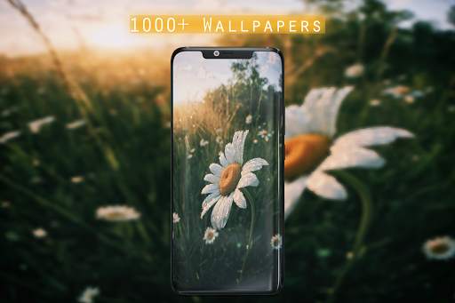 cute free wallpapers 1000  cute hd wallpaper screenshot 2