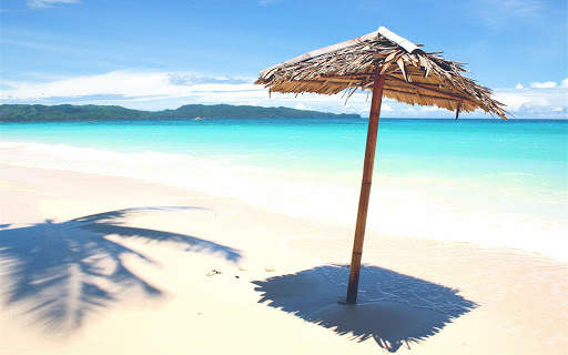 Summer Wallpaper screenshot 1