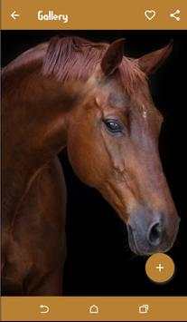 Horse Wallpapers screenshot 5