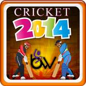 cricket 2014 2.0