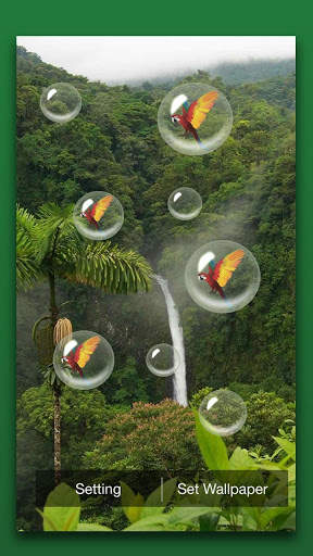 Rain Forest Live Wallpaper screenshot 4