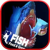 Feed and grow shark fish 2