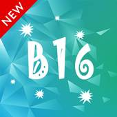 Beauty Cam - B16 Collage and Editor Photo Expert 1.0.0