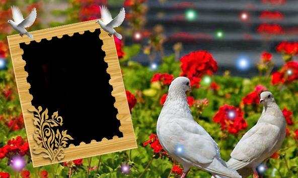 Love Birds Inst Profile Maker - Photo Frame screenshot 2
