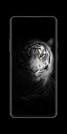 Black Wallpapers in HD, 4K screenshot 14