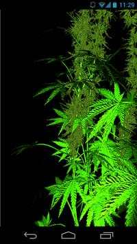 Weed 3D Live Wallpaper screenshot 3
