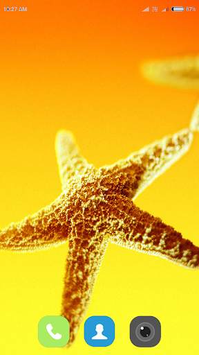 Starfish Wallpaper 4K screenshot 14