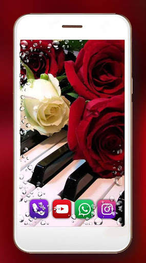 Red Roses Dew Live Wallpaper screenshot 6