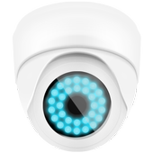 Hidden Camera icon
