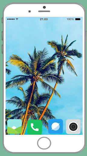 Palm Tree Full HD Wallpaper screenshot 1