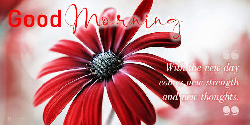 Good Morning screenshot 4