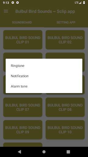 Bulbul Bird Sound Collections ~ Sclip.app screenshot 3