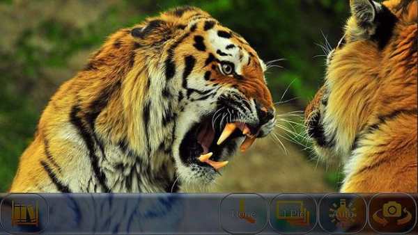 DSLR HD Camera Full screenshot 1