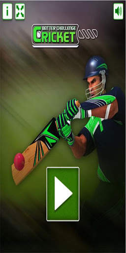 Cricket screenshot 2