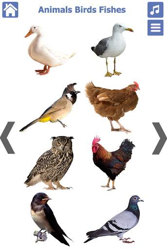 Animals Birds Fishes स्क्रीनशॉट 4