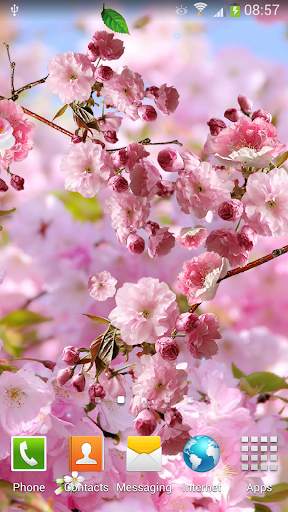 Sakura Live Wallpaper screenshot 4