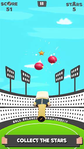 World Cricket Ball Challenge screenshot 3