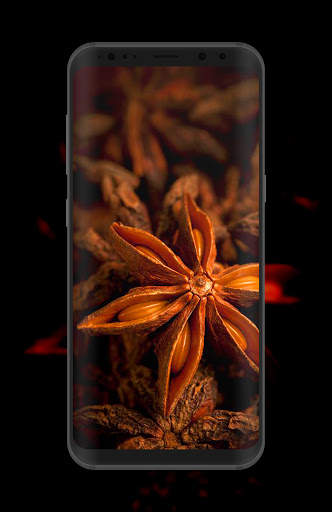 Brown Aesthetic Wallpaper screenshot 7