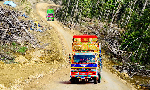 Hill Cargo Truck Driving Game screenshot 1