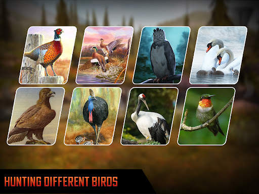 Bird Hunting Shooting Game – Animal Hunting 2021 screenshot 7