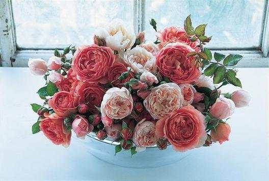 Beautiful Roses screenshot 3