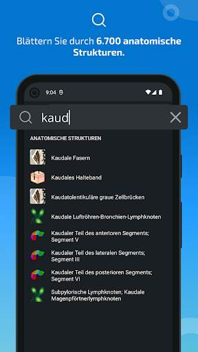 e-Anatomy screenshot 3
