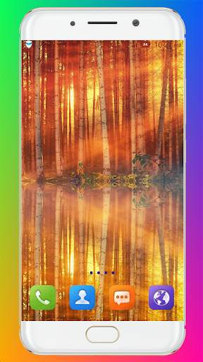 Forest Wallpaper HD screenshot 11